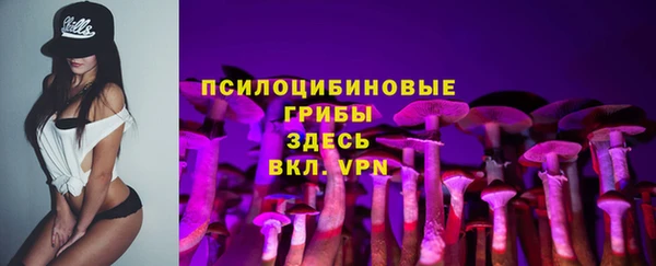 первитин Алексин