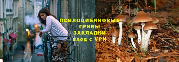 мяу мяу мука Алзамай