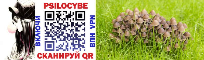 Псилоцибиновые грибы MAGIC MUSHROOMS  ссылка на мегу ссылка  Кинель 